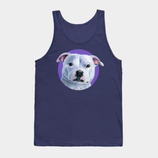 White Stafforshire Bull Terrier Pitbull Dog with Purple Tank Top